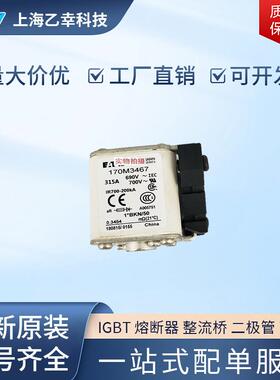 巴斯曼熔断器 170M3447 170M3448 170M3458 170M3459 170M3460