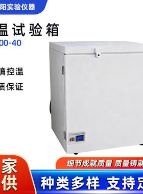 低温试验箱DX-200-40试验箱仪器厂家低温试验箱混凝土低温检测箱