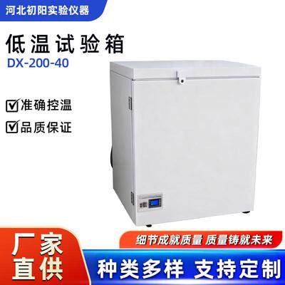 低温试验箱DX-200-40试验箱仪器厂家低温试验箱混凝土低温检测箱