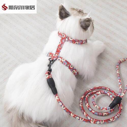 猫咪牵引绳伸缩牵引绳猫咪外出专用牵引绳牵狗绳蓝猫胸抱婴袋遛猫