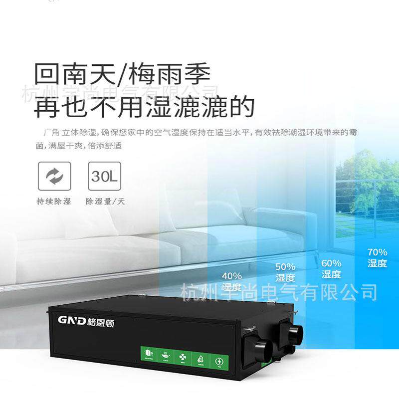格恩顿全热交换 新风防霾除湿机 YSC-30L空气净化 别墅地下室抽湿