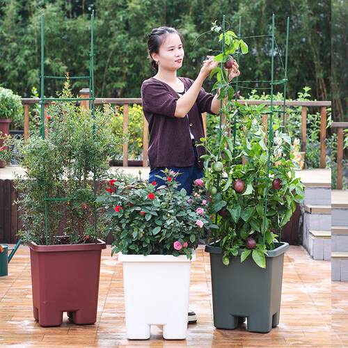 林泽种菜盆专家D205庭庭欧院大号花箱菜加深种果树阳台箱子大号种