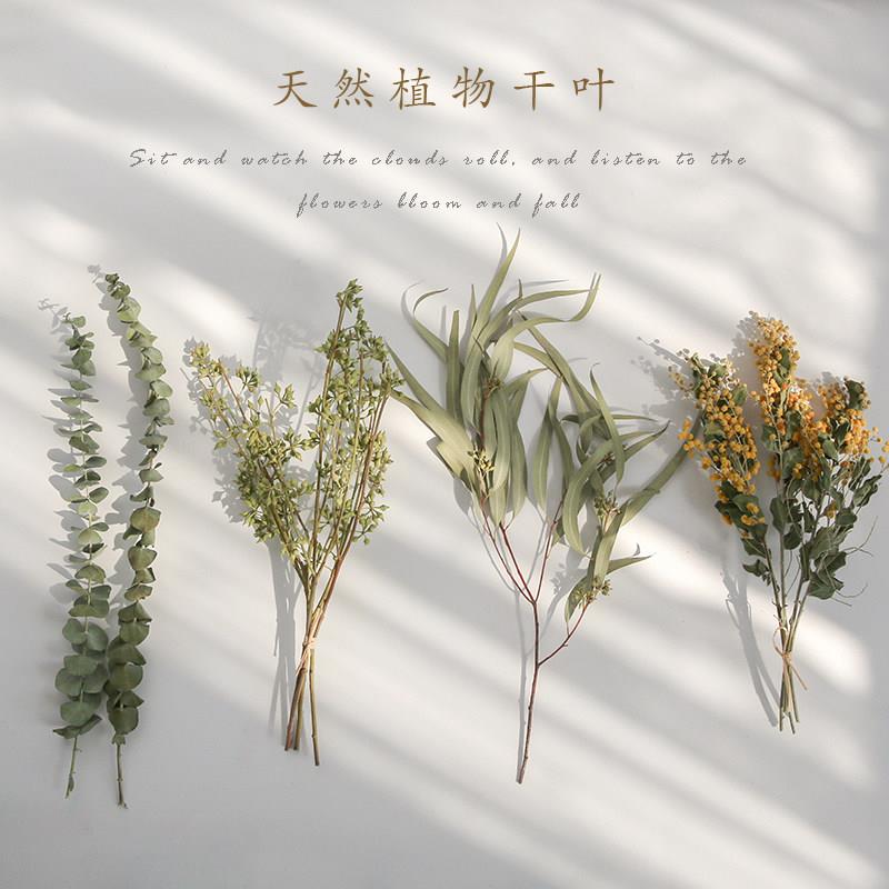 干花花束尤加利麦穗兔尾草摄影摆拍拍摄拍照道具背景装饰摆件饰品
