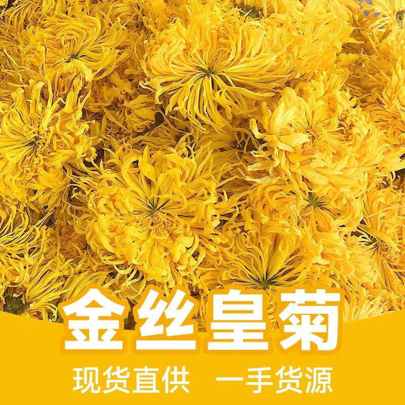 金丝皇菊散装菊花茶特大朵黄菊花草茶酒店茶楼黄山源头工厂