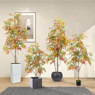 跨境绿植仿真客厅散尾葵蓝花楹旅人蕉假绿植造景橄榄树盆栽