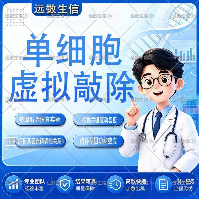 单细胞虚拟敲除网络扰动模拟 基因调控拓扑分析 核心靶点机制挖掘