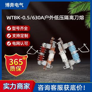 630A户外低压隔离刀熔开关500V柱上刀闸跌落式 保险200A 0.5 WTBK