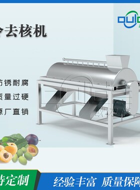 厂供大型工业不锈钢水果核肉分离橄榄杏子青梅桃子李子冷去核机