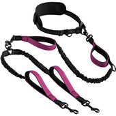 健身狗狗牵引运动反光牵引带牵引绳跑步宠物用品多功能批发