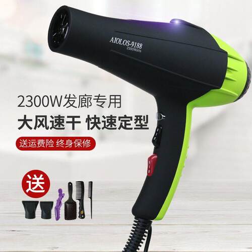 电吹风机家用御风之神AIOLOS-9188吹风机发廊专用负离子护发静音