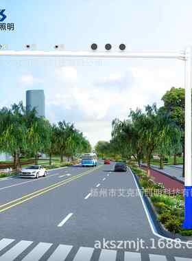 通监控杆 路卡口电子交警L察杆型八角单悬臂道摄像监控艾克斯照信