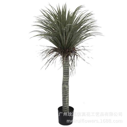 精选现货仿真龙舌兰龙铁树植物美洲客厅玄关绿植室内摆件盆景