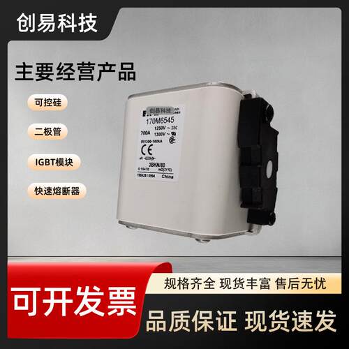 170M6544 170M6545 170M6546 170M6547 170M6548 170M6549熔断器