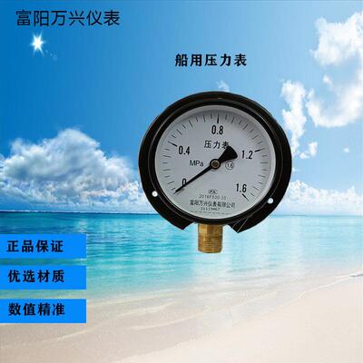 富阳万兴船用压力表Y100T1.6MPA-0.1-0MPA径向带后边表船舶专用