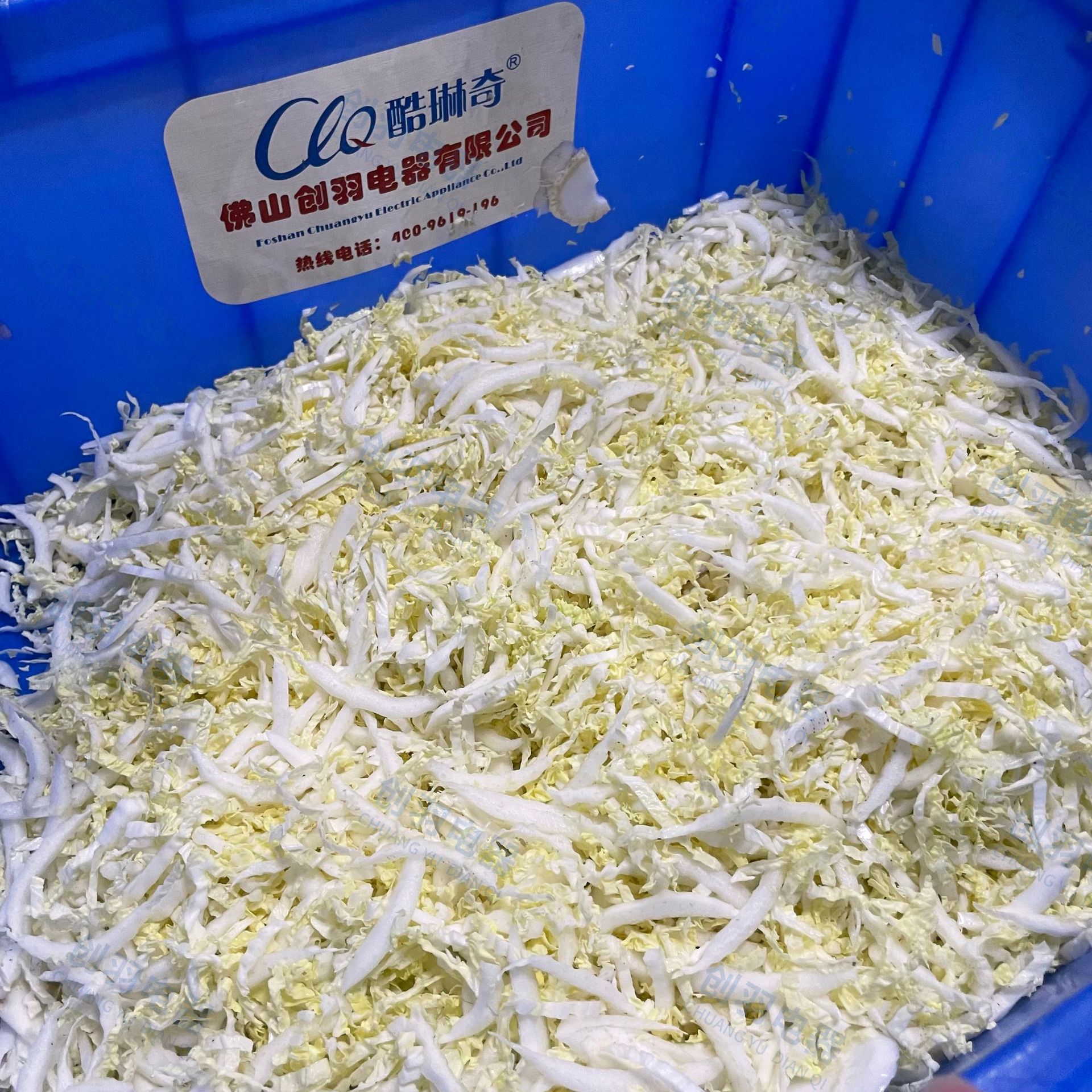 酸菜大白菜切丝机 韭菜切段机商用数控变频切菜机切包菜丝机