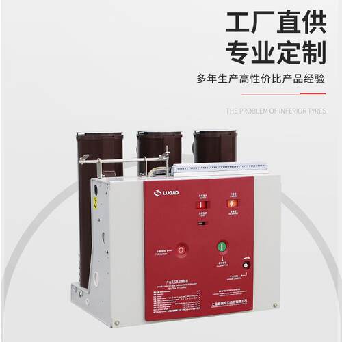 11KV户内高压真空断路器ZN6固定固封筒装式6KV真空断路器VS1