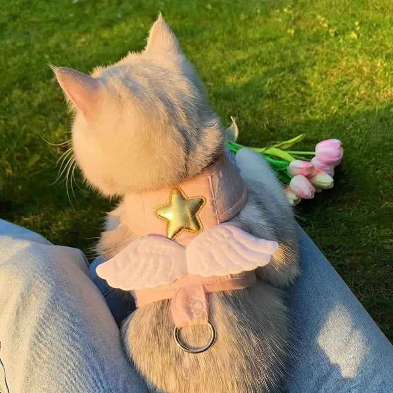 背心式猫咪牵引绳遛猫小猫宠物专用防挣脱型外出牵引小狗天使翅膀