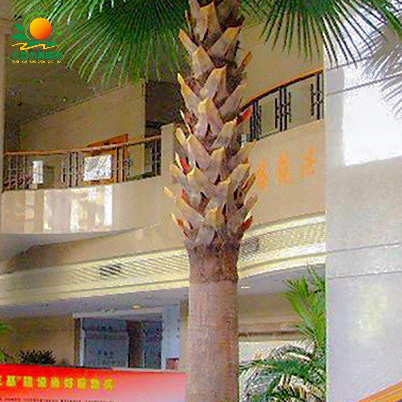 天昆仿真扇葵树大型室内外商场仿真植物造景人造塑胶棕榈树