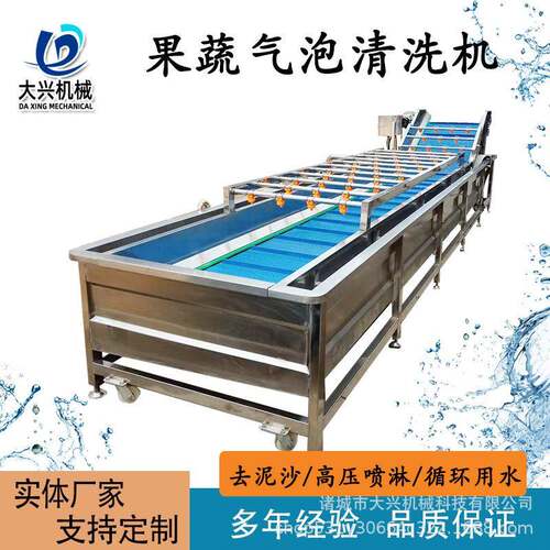 杨梅气泡清洗机全自动果蔬气泡清洗机辣椒酸菜脱盐全自动洗菜机