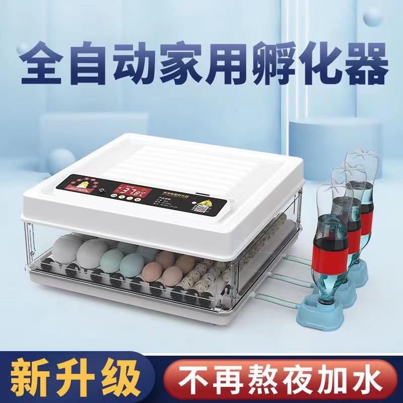 孵化机全自动智能小鸡苗鸭鹅孵化器小型家用孵化箱鸽子鹦鹉孵蛋器