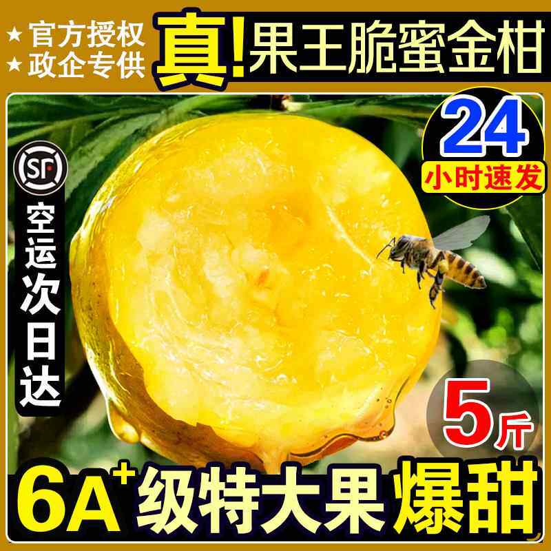 真！广西融安脆蜜金柑第三代大金桔甜无籽新鲜当季水果包邮