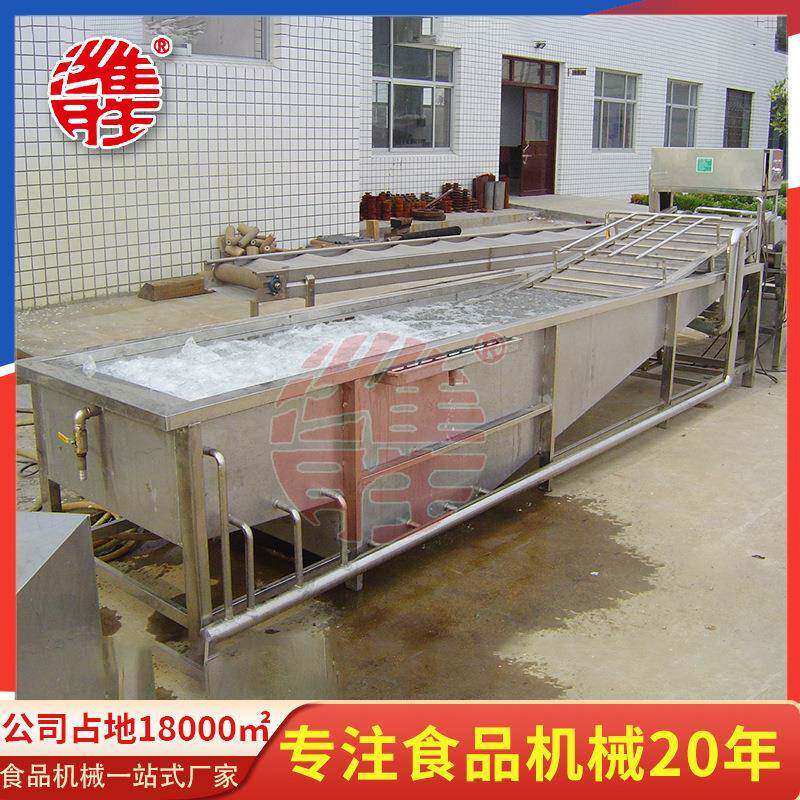 供应循环式工业气泡洗菜机全自动喷淋式蔬菜清洗机毛豆清洗机