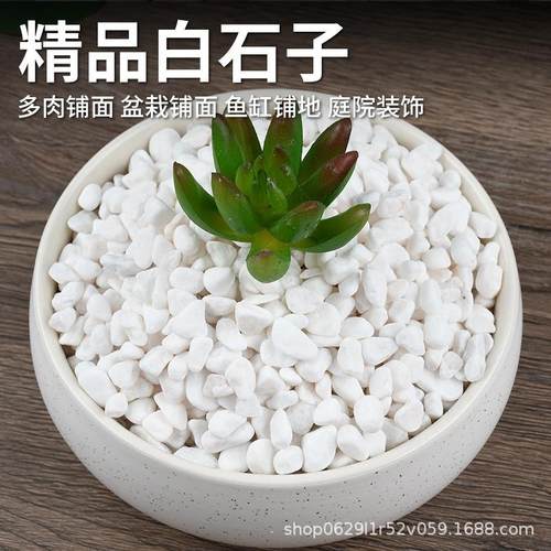 石子多鹅卵石盆栽铺面栽培基质