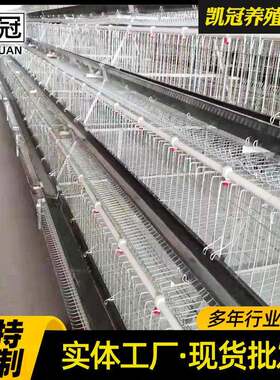 多层阶梯式蛋鸡笼新型全自动养鸡设备热镀锌自动清粪带钢丝蛋鸡笼