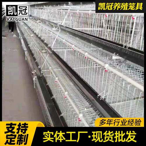 多层阶梯式蛋鸡笼新型全自动养鸡设备热镀锌自动清粪带钢丝蛋鸡笼