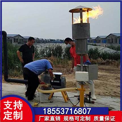 沼气燃烧火炬高度 垃圾填埋场火炬句沼气源安装距离