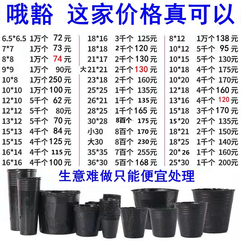 全新黑塑料营养钵农用育苗杯大号育苗袋一次性花盆营养钵厂家直销