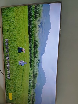 良心评测海尔LU55C51和长虹55D4P哪个好用点?区别有吗?