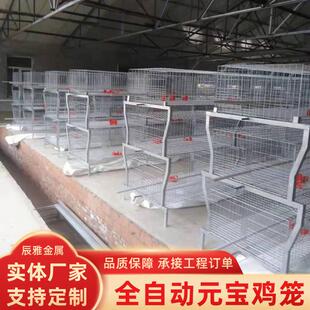 元宝型三层蛋鸡笼全自动养鸡设备层叠式养殖鸡笼框架式肉鸡笼子