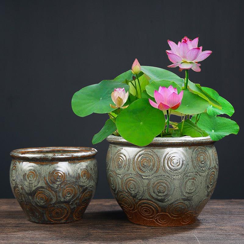 水培荷花睡莲池铜钱草碗莲盆缸古典水缸金鱼缸无孔大号陶瓷花盆