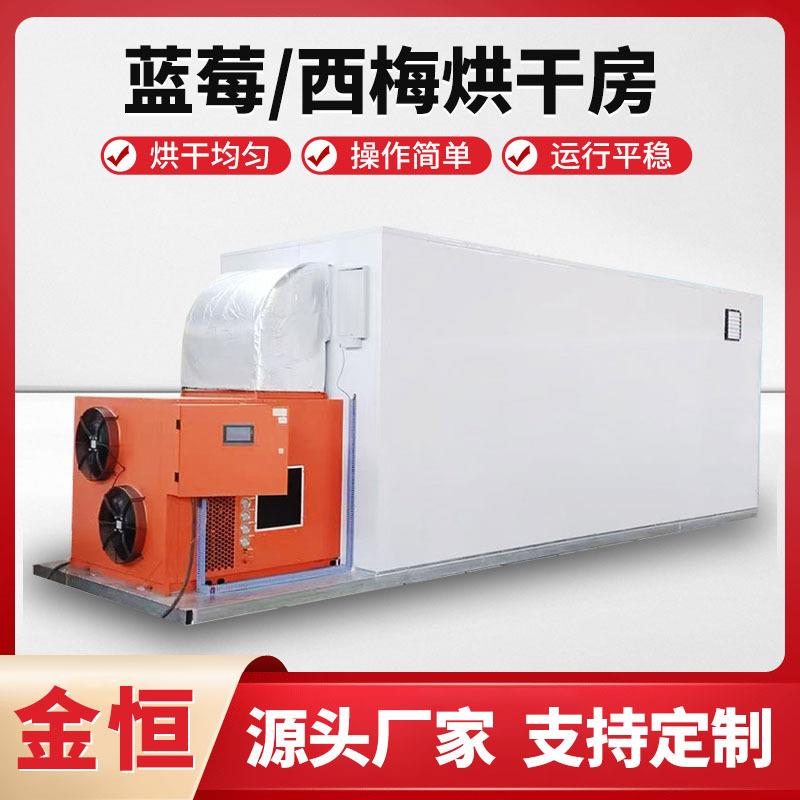 蓝莓烘干房西梅果脯烘干室干燥箱李子话梅烘干机山楂无花果烘干机