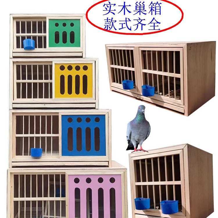 鸽子巢窝箱配对笼巢箱信鸽窝巢养殖专用笼繁殖箱赛鸽用具用品大全