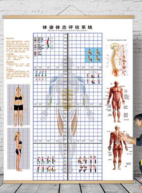 体态评估图健身房体测表瑜伽私教站姿形体脊椎修覆身体装饰挂画