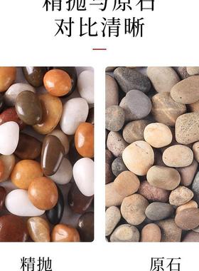 彩色鹅石铺地卵铺834路庭院花园造花景天然雨石白色原黑色之石新