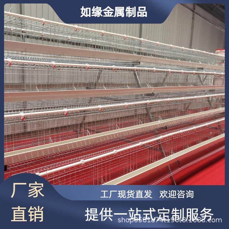 阶梯式白槽四层五门蛋鸡笼降低发病率高产蛋养殖笼具A型蛋鸡笼