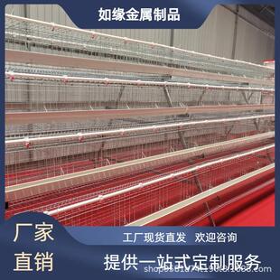 阶梯式白槽四层五门蛋鸡笼降低发病率高产蛋养殖笼具A型蛋鸡笼