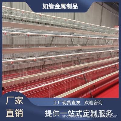 阶梯式白槽四层五门蛋鸡笼降低发病率高产蛋养殖笼具A型蛋鸡笼