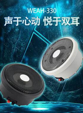 户外防水全频无源音箱 会议室吸顶天花喇叭 圆形走廊音箱WEAH-330