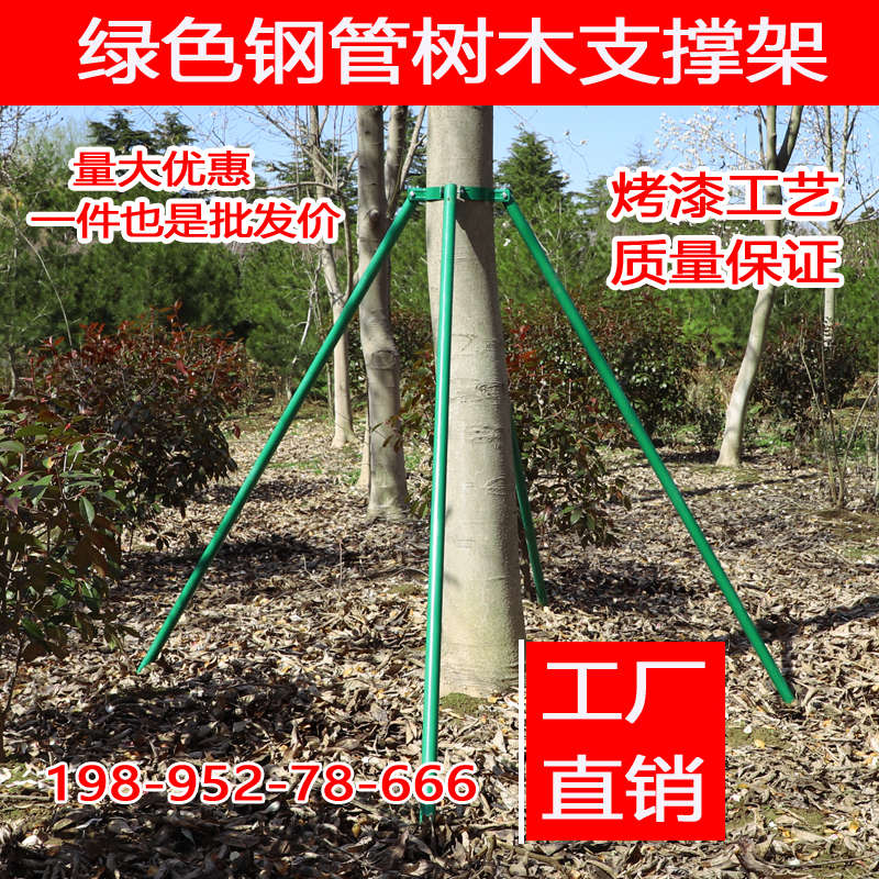 树木支撑架镀锌钢管园林绿化防风大树支撑杆金属铁抱箍固定器支架