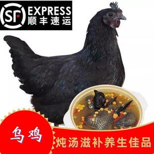 2只乌鸡2000克新鲜现杀正宗乌鸡土鸡农家乌骨鸡肉活鸡白毛土乌鸡