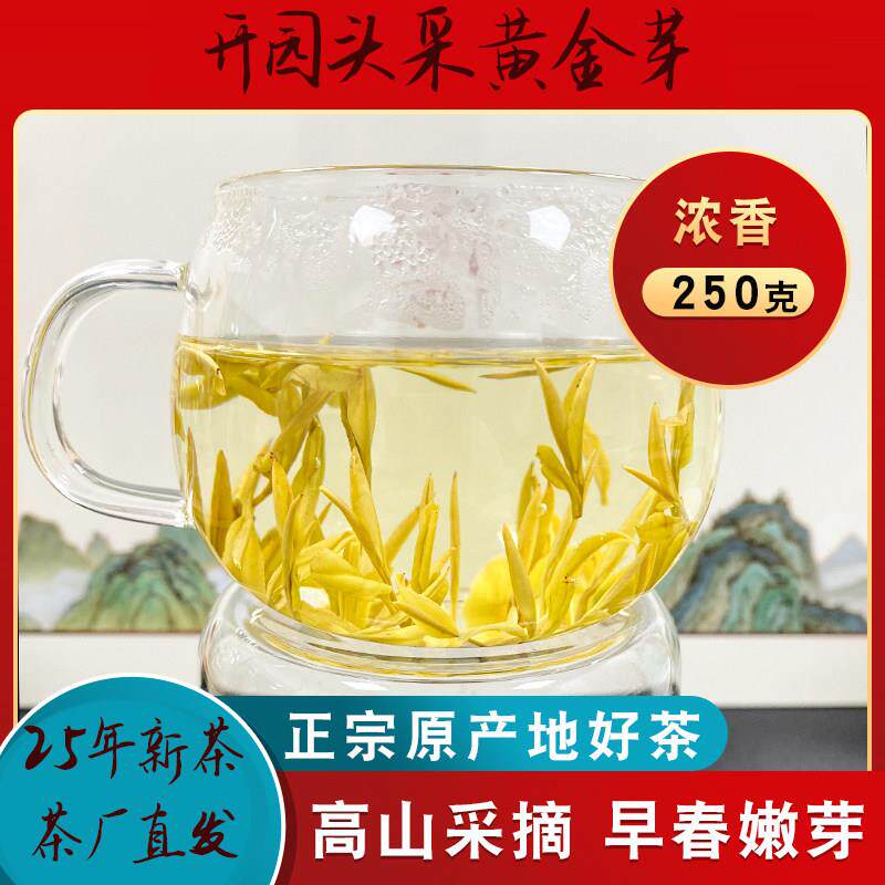 2025年安吉黄金芽正宗白茶明前特级A绿茶高山散装250g礼盒春茶叶