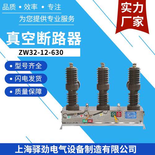ZW32-12-630真空断路器柱上开关户外高压智能真空断路器防雷