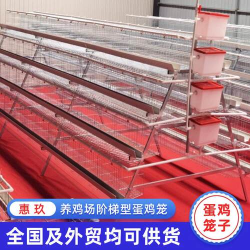 阶梯式蛋鸡笼四层四门鸡笼冷镀锌a型阶梯厂家供应多层鸡用立式