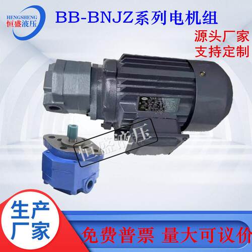 BB-B25NJZ-1B16NB32NB40NB80B100NJZ-1立卧式齿轮油泵电机组