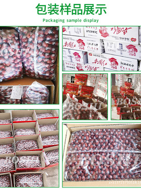 包玉米颗粒全自动装机 量杯式计量颗粒立BS-520 式重称封口打包机