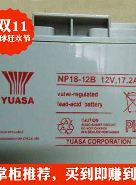 汤浅（YUASA）NP18-12B/12V17AH医疗器械、 电梯、升降机专用电瓶
